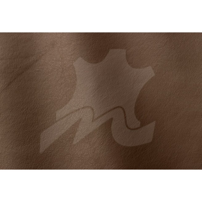 Aligo Group фото